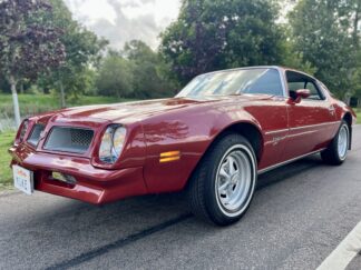 1976 Pontiac Firebird Esprit 5,7L ★15.277 MIL★